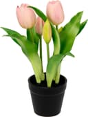 Kunstblume Tulpen | Rosa
