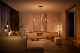 Philips Hue LED-Filament White Giant Globe G125 | Holztöne