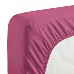 TOM TAILOR HOME Spannbettlaken Tom Tailor Jersey | Mehrfarbig