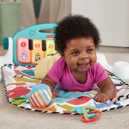 Fisher-Price® Spielbogen Klick & Play | Mehrfarbig