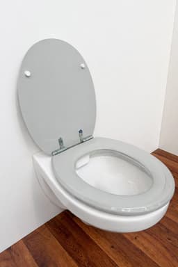 welltime WC-Sitz Classic Colours | Grau