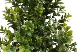 Künstliche Zimmerpflanze Buchsbaum im Topf Buchs | Grün