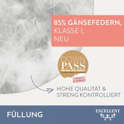 Excellent Federkissen Davos | Weiß
