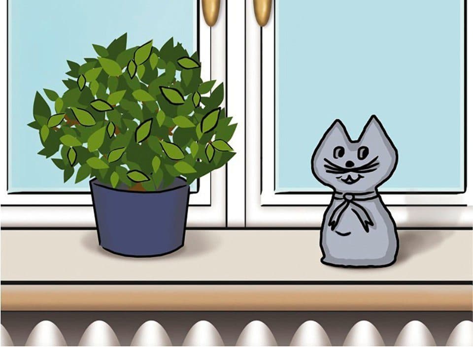 Wenko Luftentfeuchter Katze | Grau