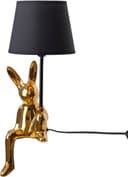 Näve Tischleuchte Helge Hase | Gold 4
