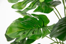 Kunstpflanze Monstera | Grün