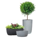 Scheurich LINETTO BOWL Pflanzschale | Grau 2