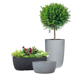Scheurich LINETTO BOWL Pflanzschale | Grau