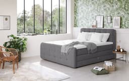 COTTA Boxspringbett Fort | Grau