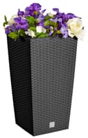 Prosperplast Rato Square Blumentopf | Schwarz 2