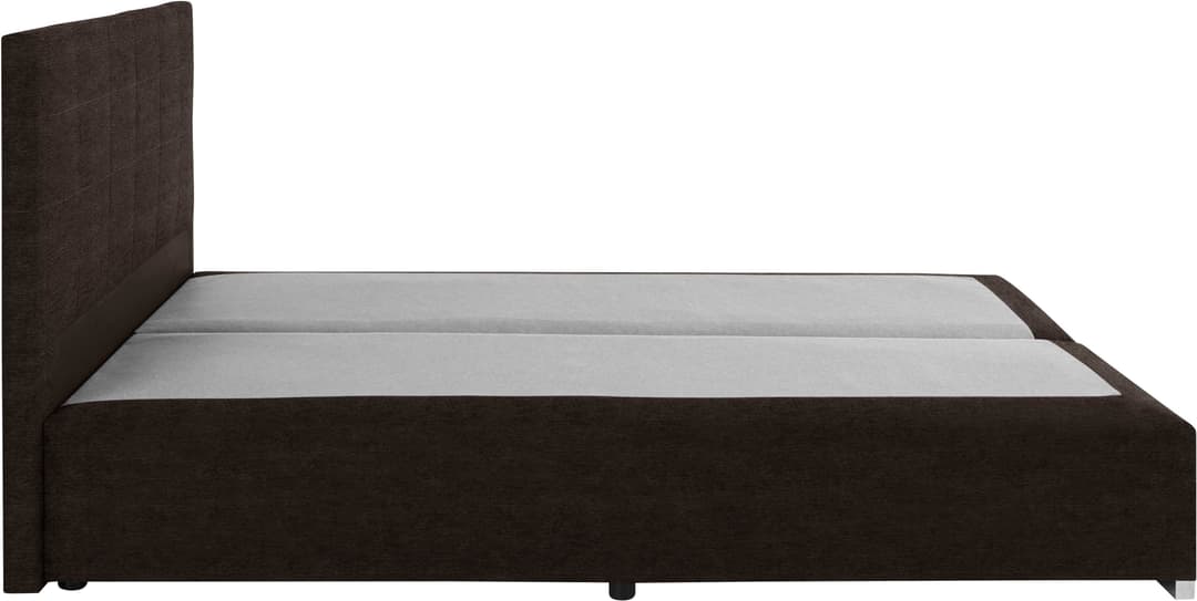 COTTA Boxspringbett Simba | Braun
