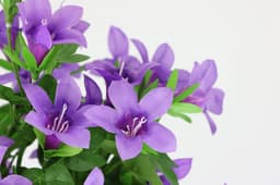 Kunstblume Glockenblumen-Strauß in Vase | Lila