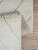 the carpet Teppich Bahar Shaggy | Beige 5