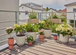GARDENA Bewässerungssystem Micro-Drip-System Balkon | Schwarz