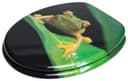 Sanilo WC-Sitz Frosch Grün | Grün 5