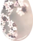 Kleine Wolke WC-Sitz Blossom | Mehrfarbig 2