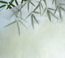 GARDINIA Fensterfolie Line 25 | Transparent 2