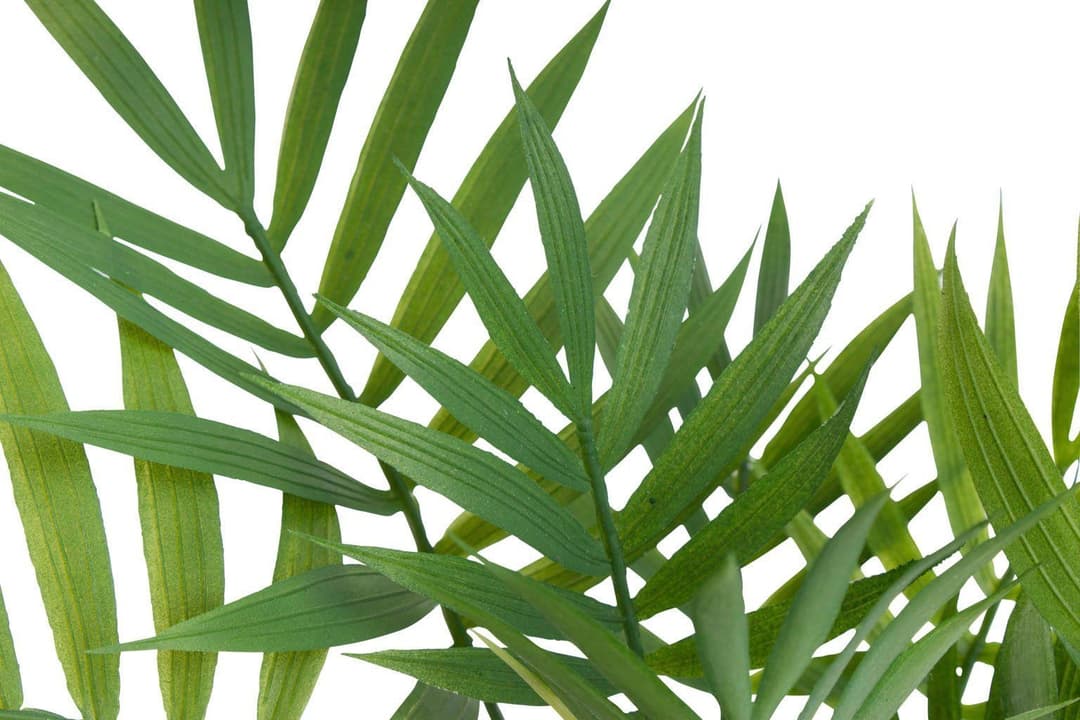 Künstliche Zimmerpflanze Chamaedorea Palme | Grün