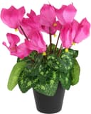 Kunstblume Alpenveilchen im Topf | Rosa