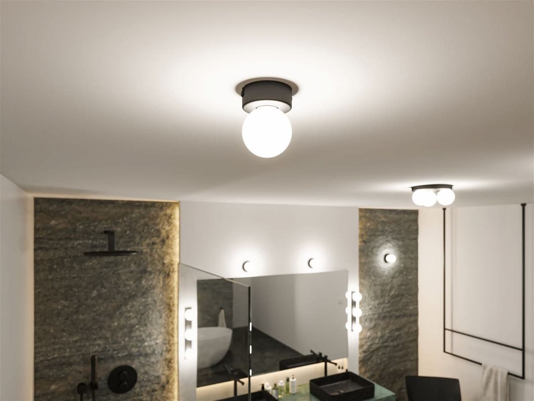 Paulmann Deckenleuchte Selection Bathroom Gove | Schwarz