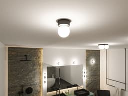 Paulmann Deckenleuchte Selection Bathroom Gove | Schwarz