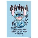 Reinders! Poster Disney Stitch Ohana | Blau 2