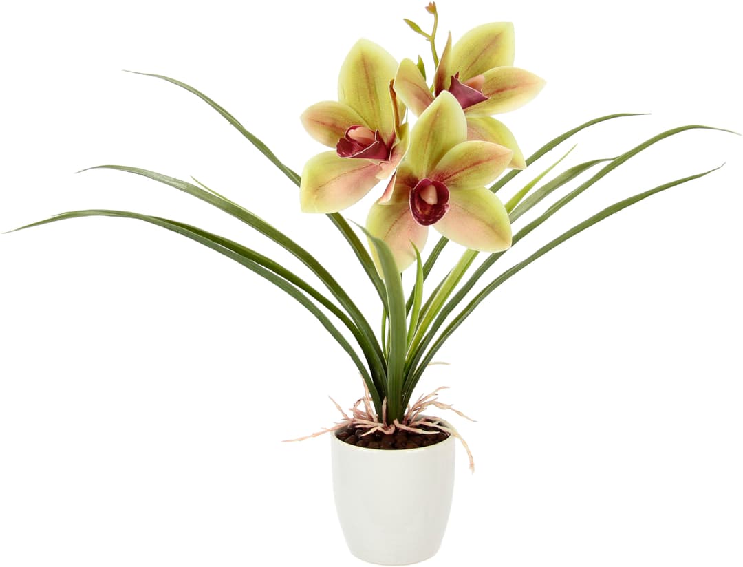 Kunstblume Orchidee | Mehrfarbig