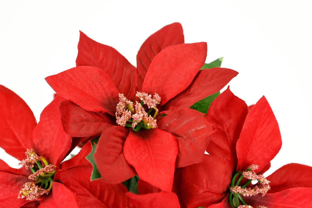 I.GE.A. Kunstblume Poinsettia im Topf | Rot