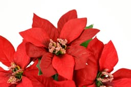 I.GE.A. Kunstblume Poinsettia im Topf | Rot