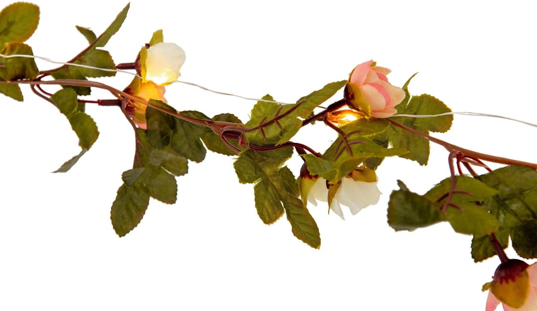 Näve LED-Lichterkette Röschen | Mehrfarbig