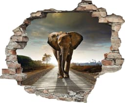 queence Wandtattoo Elefant | Braun