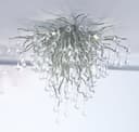 Paul Neuhaus Deckenleuchte ICICLE | Silber 5