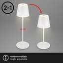 Briloner Leuchten LED Tischleuchte KIKI | Silber 4