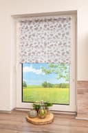 Doppelrollo Delphi | Beige 5