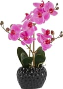 Kunstpflanze Orchidee | Mehrfarbig