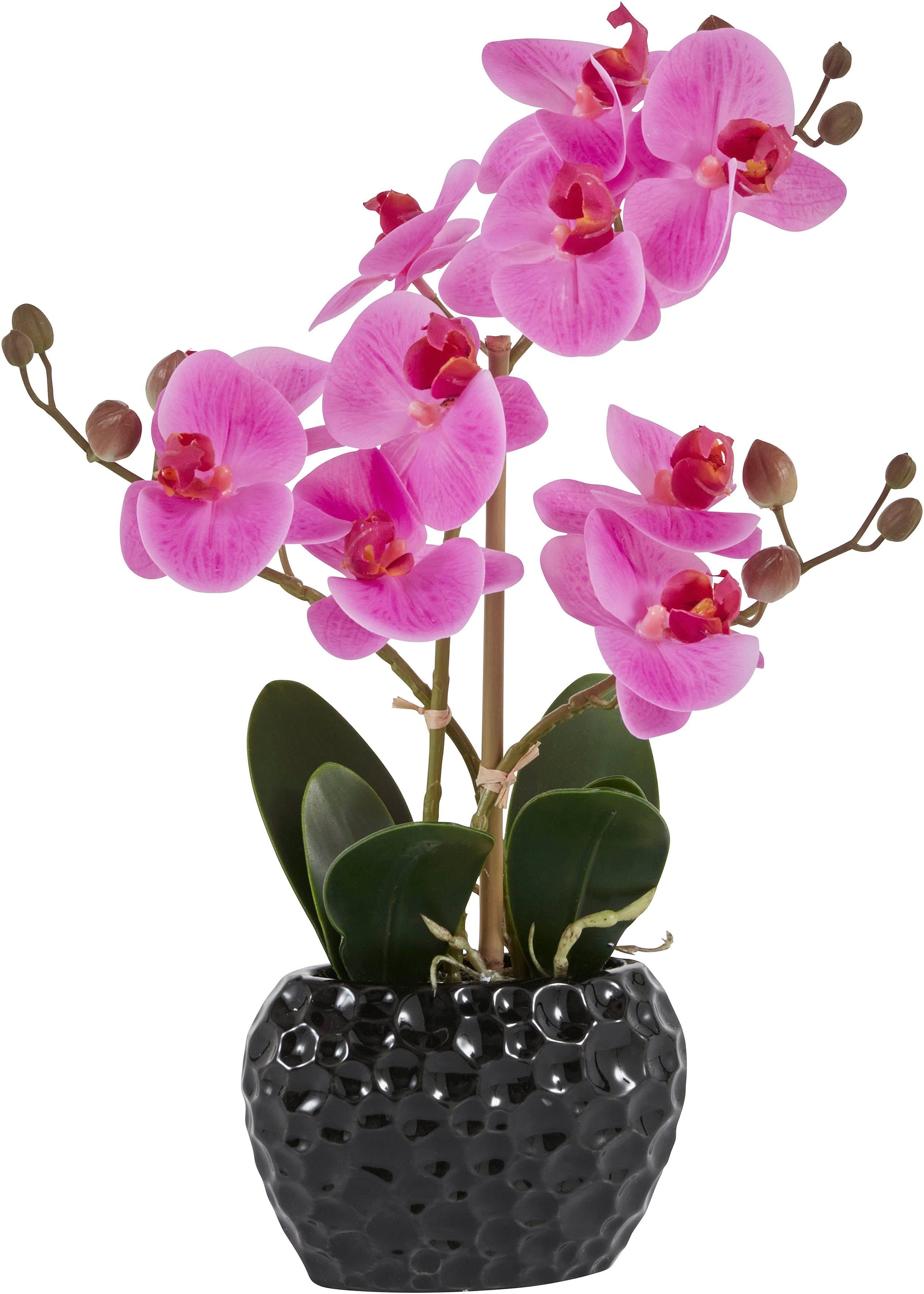 Kunstpflanze Orchidee | Mehrfarbig