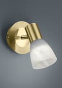 TRIO Leuchten LED Wandleuchte | Gold 2