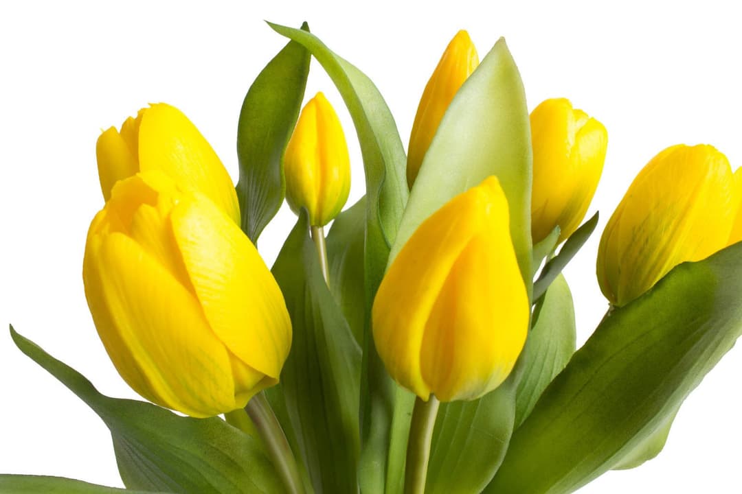 Kunstblume Willa Tulpe | Gelb