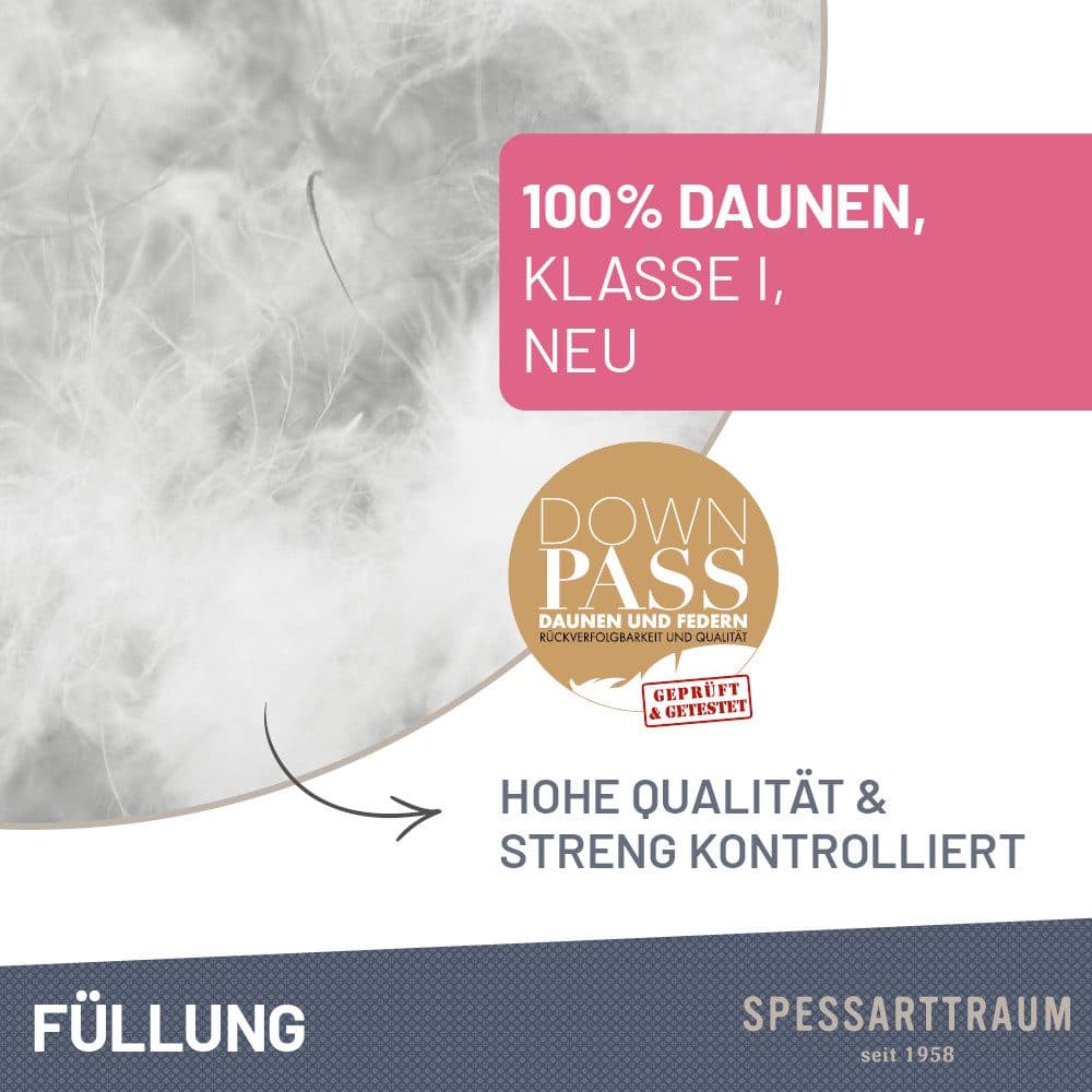 SPESSARTTRAUM Daunenbettdecke Exklusiv | Weiß