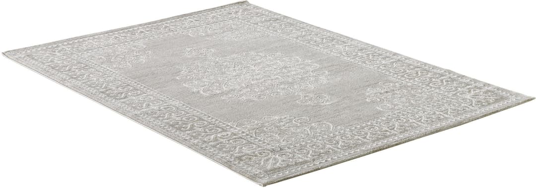 Sanat Teppich Harmony 3204 | Beige