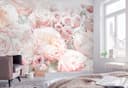 Komar Fototapete Spring Roses | Rosa