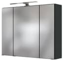 welltime Spiegelschrank Baabe | Grau