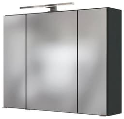 welltime Spiegelschrank Baabe | Grau