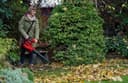 Einhell Akku-Laubsauger GE-CL 36/230 Li E Solo | Rot 2