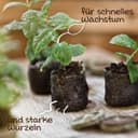 Windhager Anzucht- und Kräutererde | Braun 4