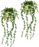 I.GE.A. Kunstpflanze Senecio | Grün