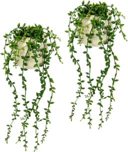 I.GE.A. Kunstpflanze Senecio | Grün