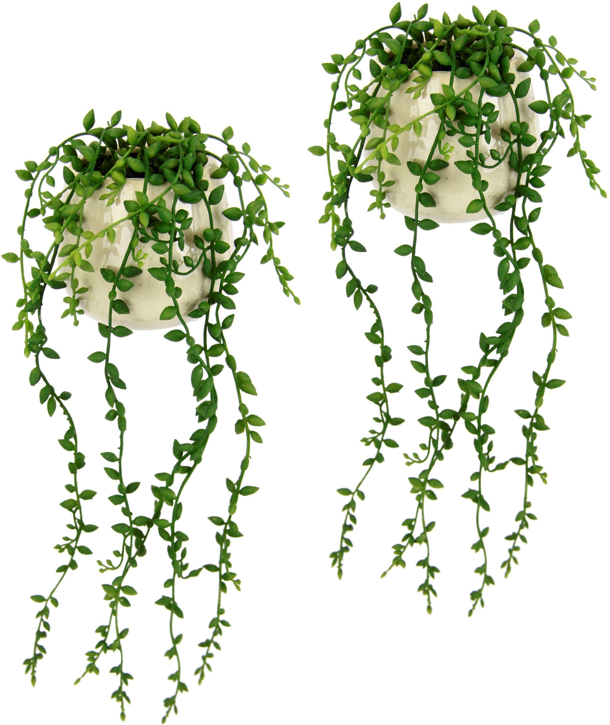 I.GE.A. Kunstpflanze Senecio | Grün