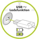 Jockenhöfer Gruppe Nachtkonsole Lissy | Beige 4