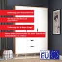 Forte Drehtürenschrank Vankka | Holztöne 4